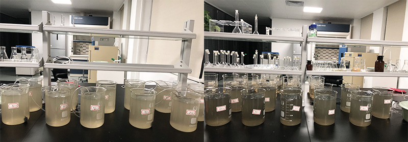 黑臭河道治理中的生物修復技術 黑臭河道治理中的生物修復技術