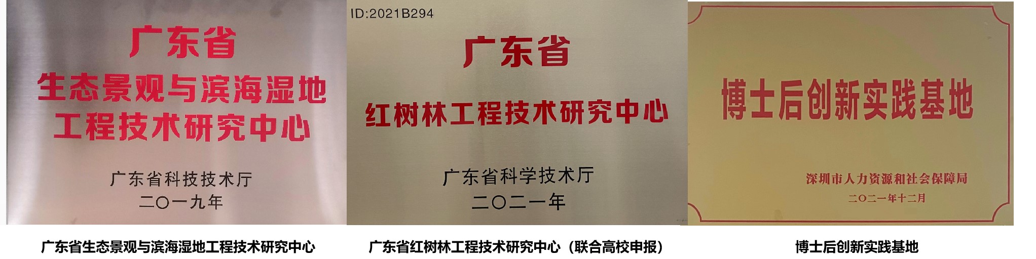 研發平1 研發平1