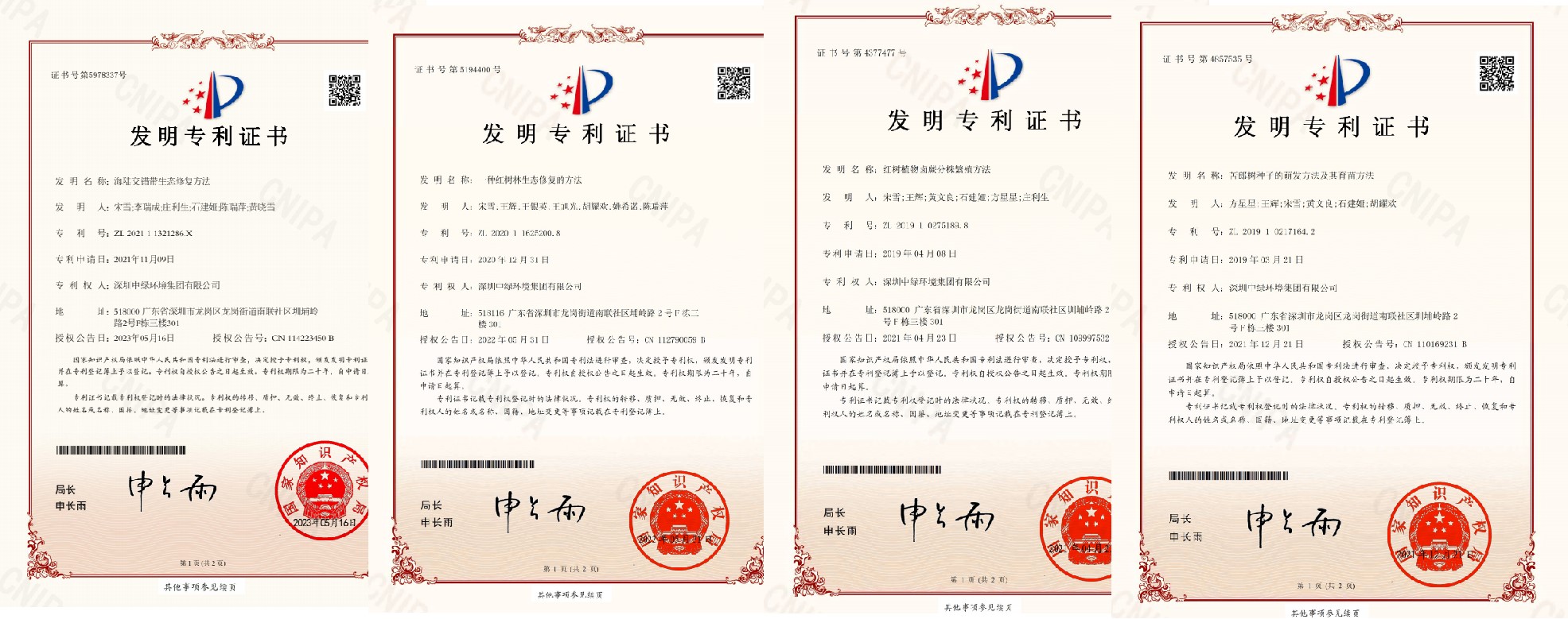 發明專利第一頁